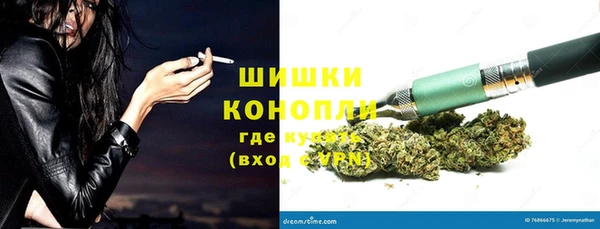твердый Алзамай