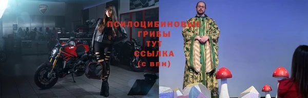 твердый Алзамай