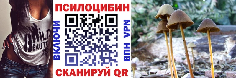 Галлюциногенные грибы Psilocybine cubensis  Ипатово 
