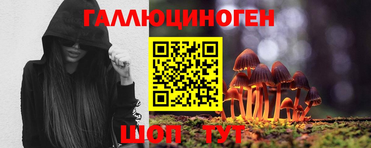 Галлюциногенные грибы мицелий  Псилоцибиновые грибы Magic Shrooms  Ипатово  Вход с VPN 